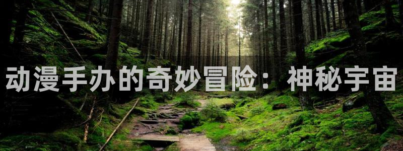 囧次元官方下载：动漫手办的奇妙冒险：神秘宇宙