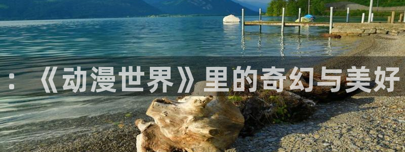 囧次元app正版下载免费：：《动漫世界》里的奇幻与美好
