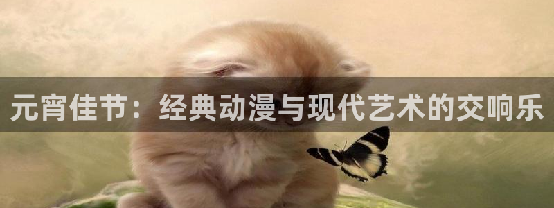 囧次元app官方正版：元宵佳节：经典动漫与现代艺术的交响乐