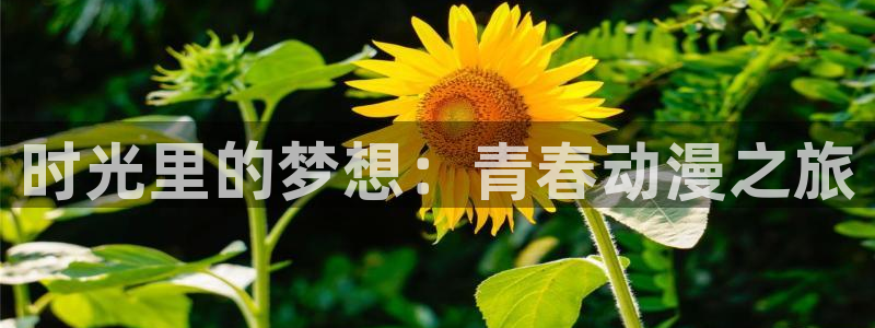 囧次元老版本：时光里的梦想：青春动漫之旅