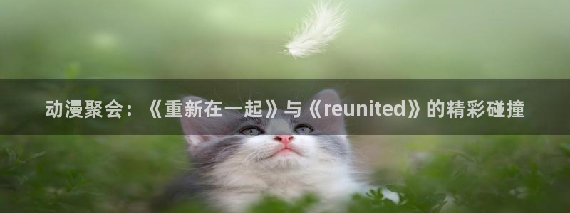 囧次元官方app下载：动漫聚会：《重新在一起》与《reunited》的精彩碰撞